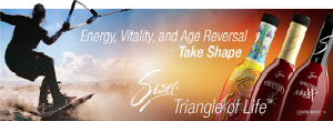 Triangle Of Life